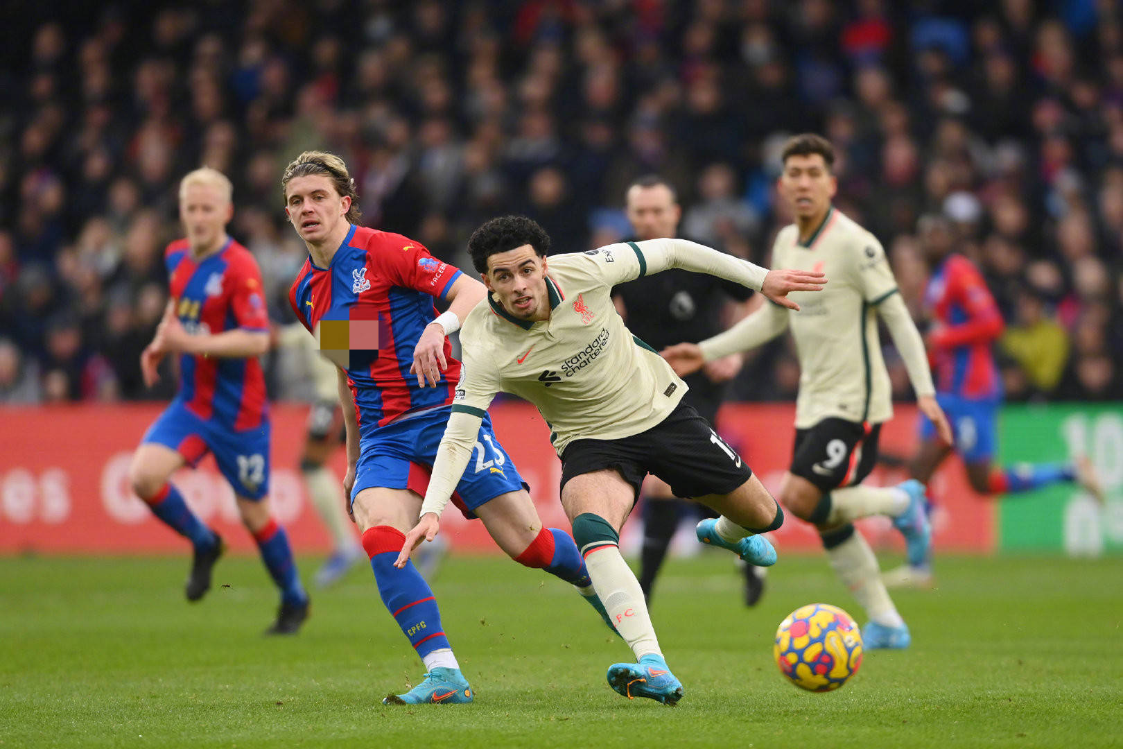 球员及其团 球员及其团