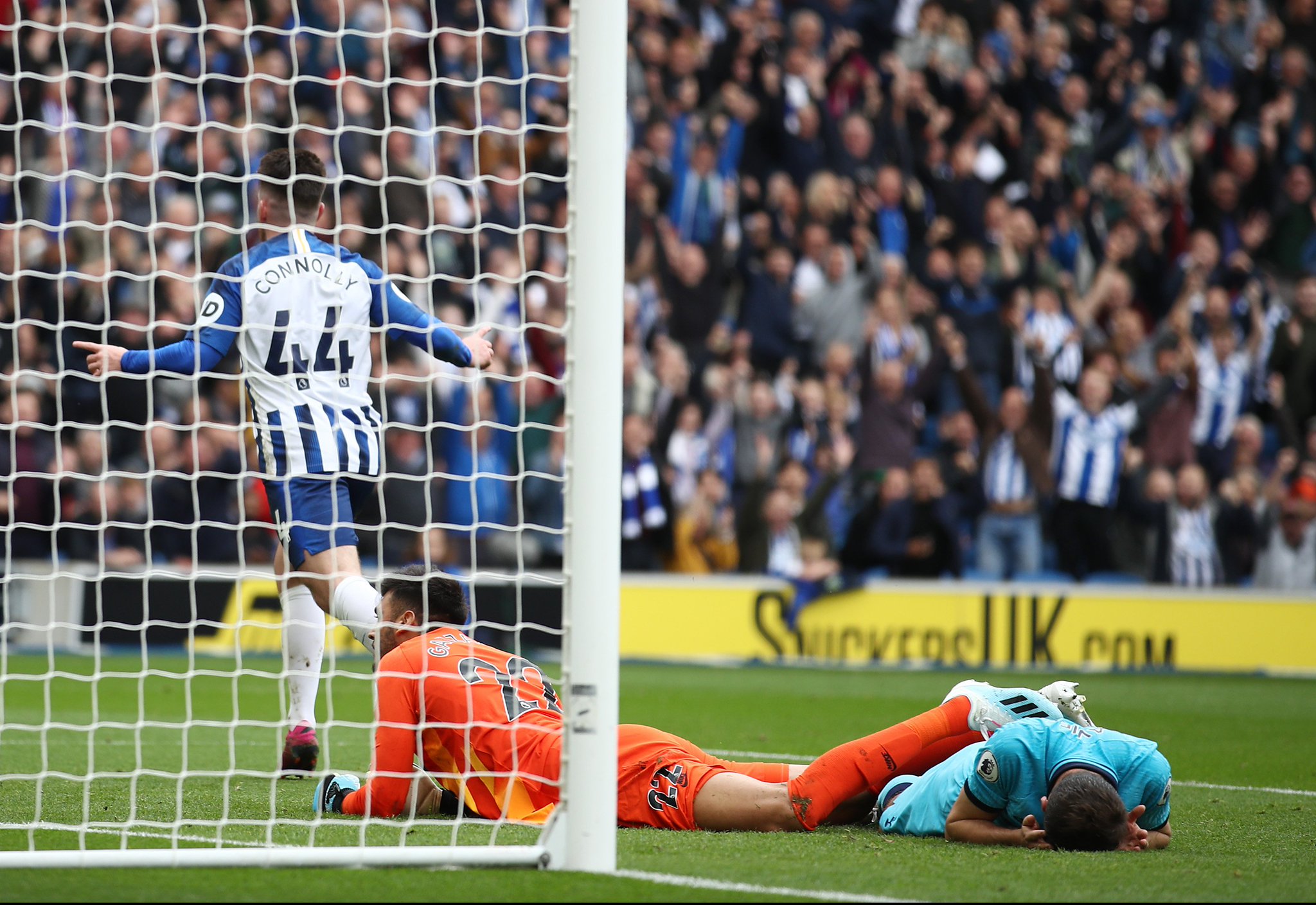 到假期不仅 到假期不仅